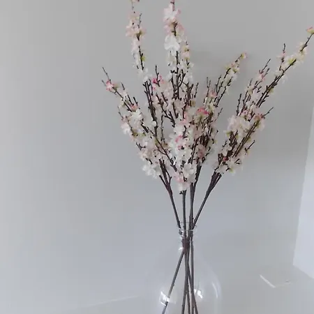 Hydro Palace 02.17 Daire *